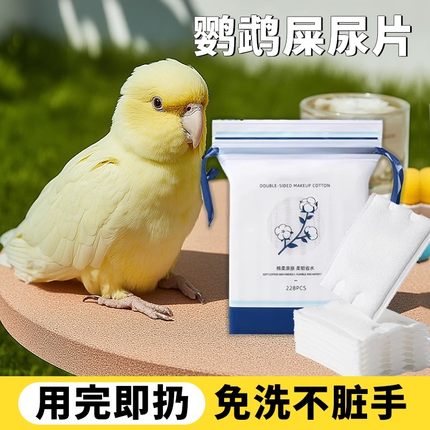 鹦鹉尿片尿不湿垫屎兜一次性隔尿布小鸟玄凤和尚虎皮牡丹用纸尿裤