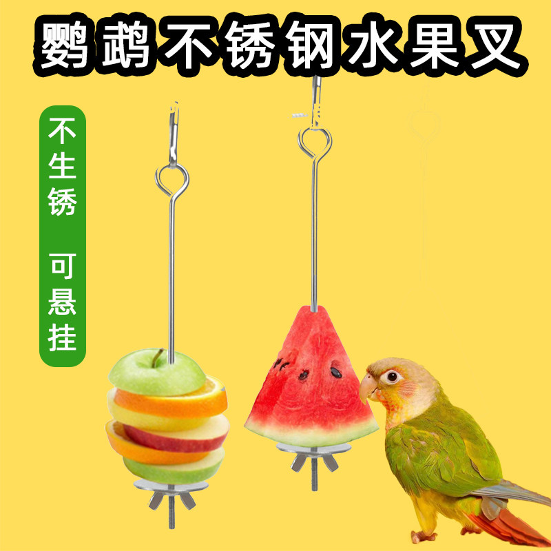 鸟用水果叉鹦鹉不锈钢水果夹图片