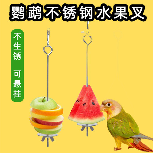 鸟用水果叉鹦鹉不锈钢水果夹