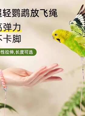 鹦鹉放飞绳不伤脚超轻溜鸟绳虎皮玄凤八哥脚环脚链脖套飞行牵引绳