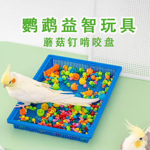 鸟玩具蘑菇钉牡丹玄凤虎皮训练觅食用品鹦鹉啃咬解闷益智攀爬玩具