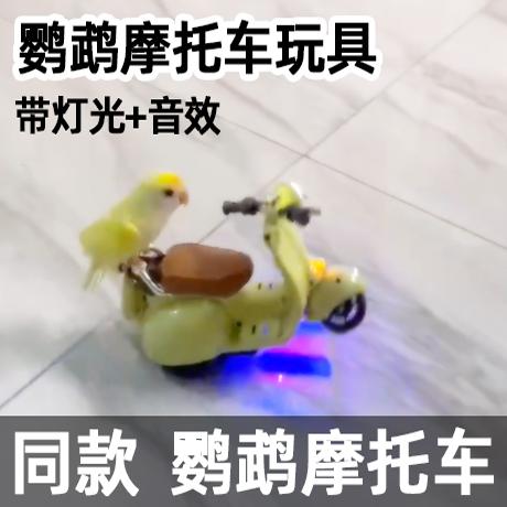 抖音同款鹦鹉特技摩托车解闷玩具