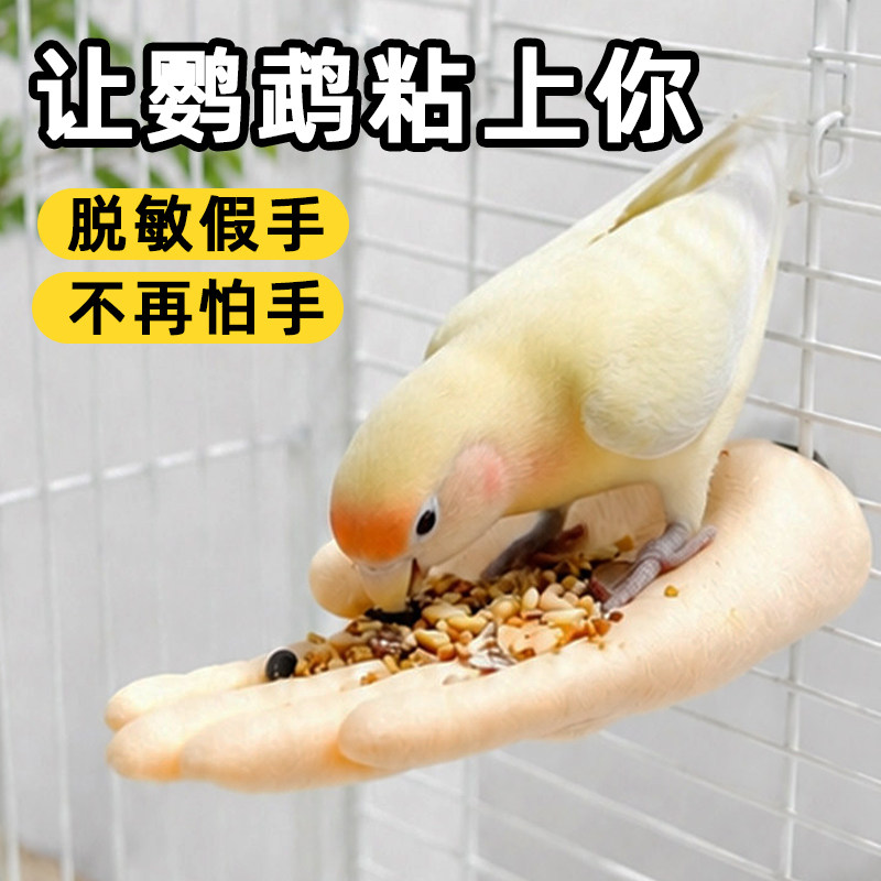 鹦鹉脱敏假手站杆鸟笼仿真手牡丹小太阳互动训练手模型鸟用品玩具
