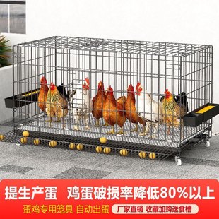 加粗款蛋鸡笼家用室内外养鸡笼子鸡舍养殖特大号折叠自动滚蛋鸡笼