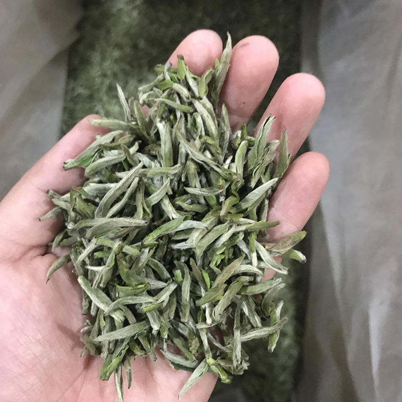 2022年春茶福鼎白茶米粒芽银针 小米芽白毫银针散茶