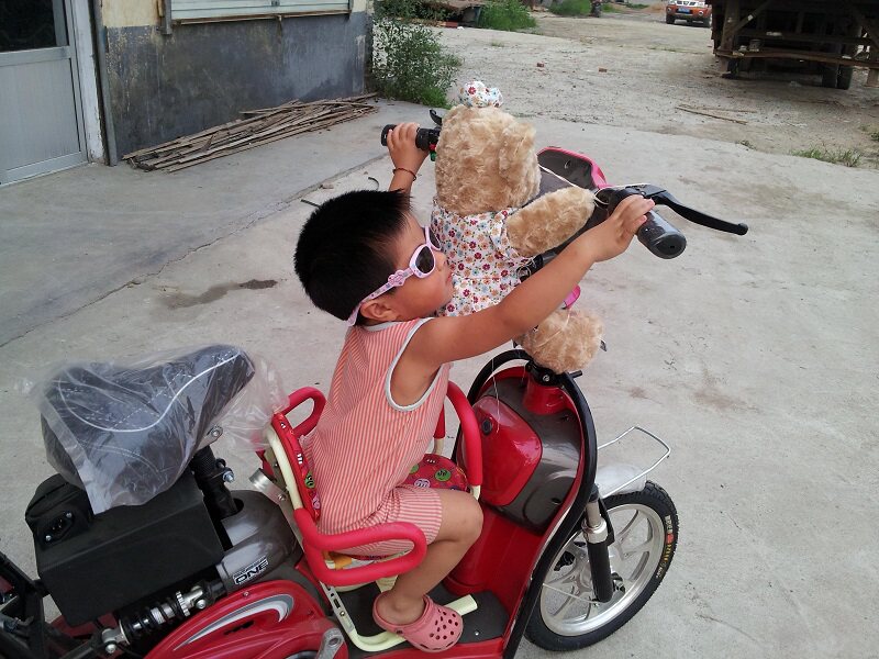 siège enfants pour vélo - Ref 2429547 Image 4