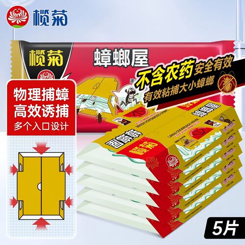 榄菊蟑螂屋诱捕贴环保安全
