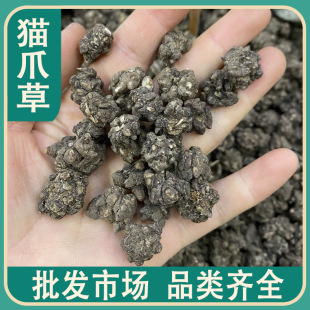 中药材猫爪草 500g零售