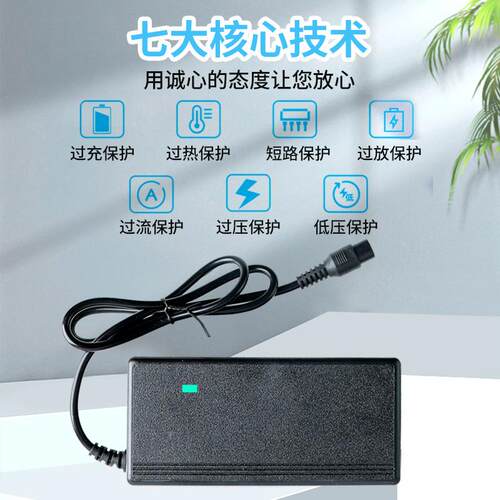 左拉两轮平衡车充电器三孔头通用儿童双轮扭扭车电源线领奥阿尔郎