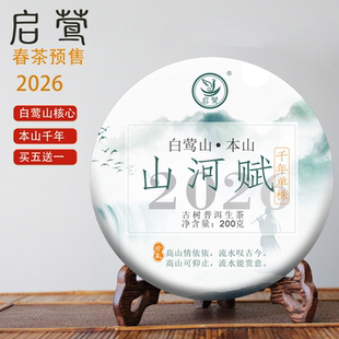 【启莺】2026春茶预售白莺山本山千年单株【山河赋】普洱生茶古树