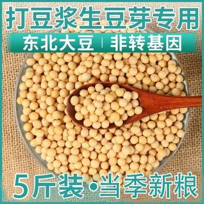 黑龙江农家自产黄豆   5斤包邮