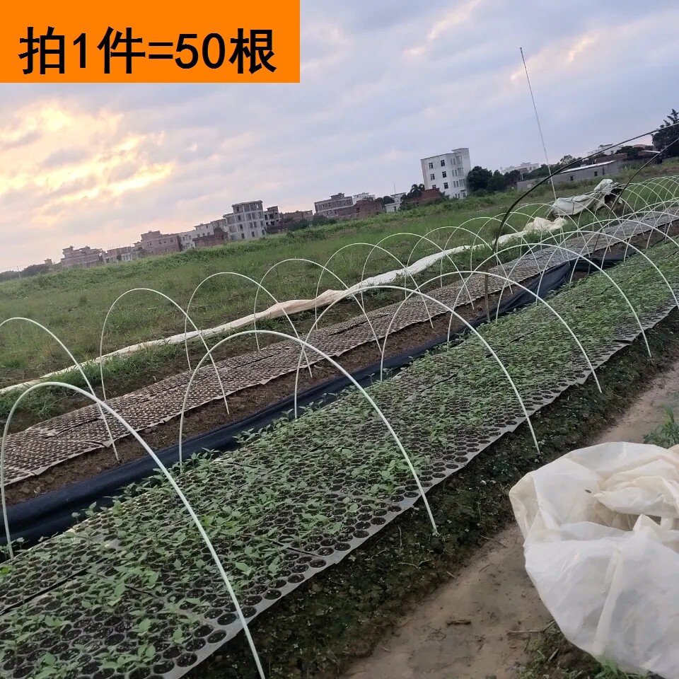 小拱棚拱杆蔬菜花卉大棚保温棚玻纤内支架骨架地膜薄膜弓竿育苗杆