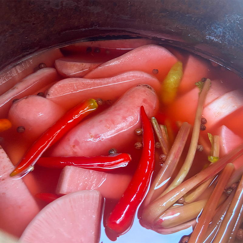 正宗老坛泡菜酸萝卜四川特产泡辣椒姜烤苕皮豆干跳水萝卜烧烤配料