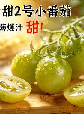 青甜2号小番茄绿色千禧圣女果纯甜清甜二号绿宝石青口蜜小西红柿