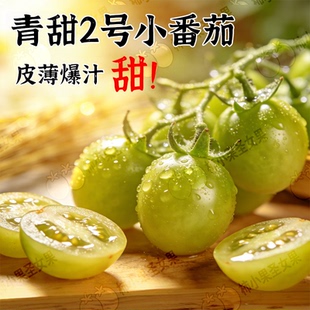 青甜2号小番茄绿色千禧圣女果纯甜清甜二号绿宝石青口蜜小西红柿