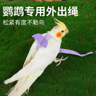 鸟用鹦鹉牵引绳珍珠鸟专用放飞绳虎皮八哥牡丹玄凤鸟外出遛鸟绳XM