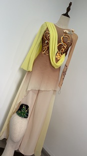 古典舞蹈演出服.桃李杯寒依疏影舞蹈服表演服装高级定制