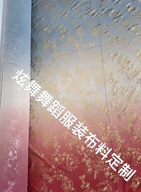 渐变色舞蹈服装布料.舞蹈桃花笺同款服装布料.印花烫金雪纺面料