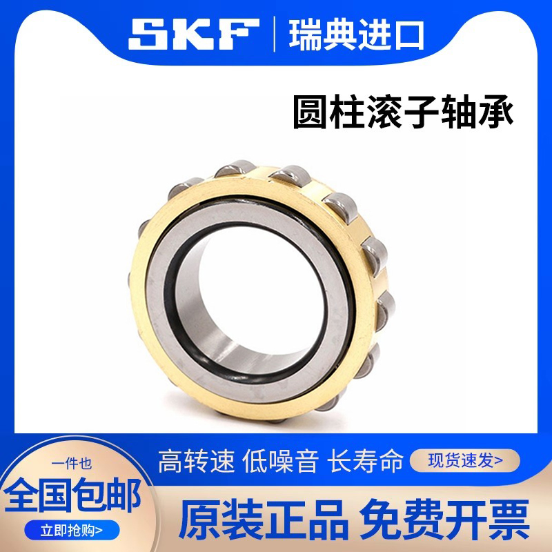 进口SKF减速机偏心轴承RN205 RN206 307 308 309 312 219 222M