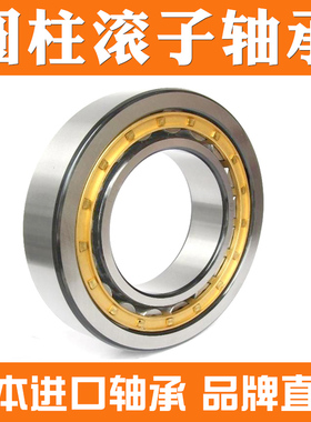 进口NSK轴承NJ302 NJ303 NJ304 NJ305 NJ306 NJ307E EM EW ET C3