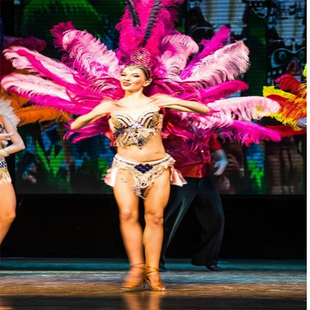 大气桑巴舞蹈演出服装巴西传统服饰红磨坊桑巴鸵鸟羽毛巡游表演服