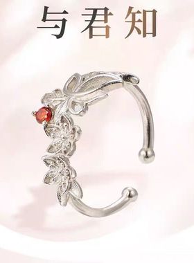 戒指天官赐福周边与君知简约女