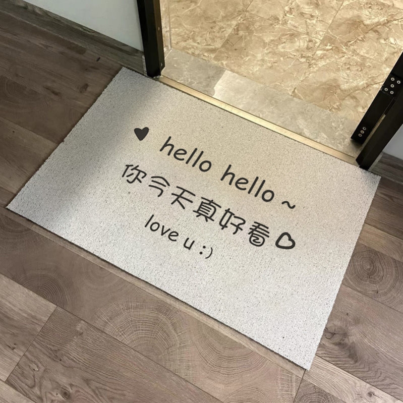 今天好看丝圈地毯入户门口服装店