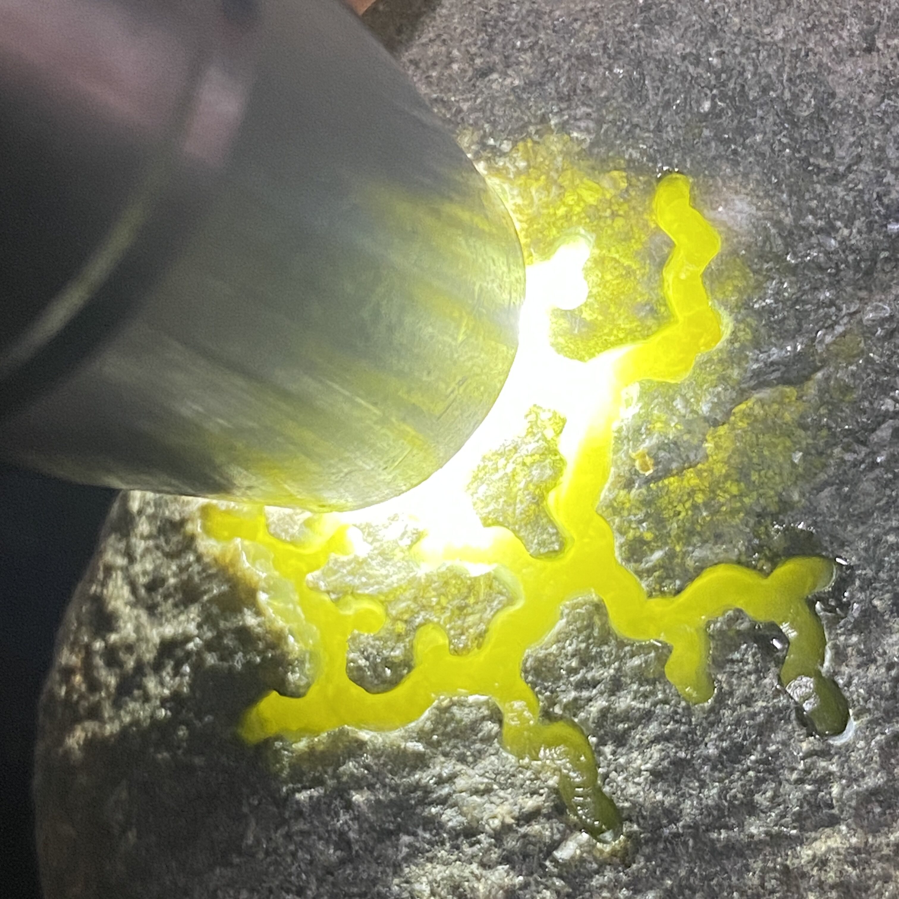 MR-34 老坑莫西沙黄翡开窗料 缅甸翡翠原石毛料 牌子吊坠料 种老