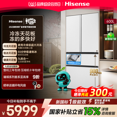 海信璀璨大力神600L制冰法式冰箱