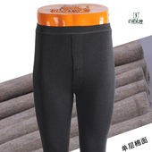 线裤 秋裤 单层拉绒弹力家居休闲保暖裤 百爱女神1741男士