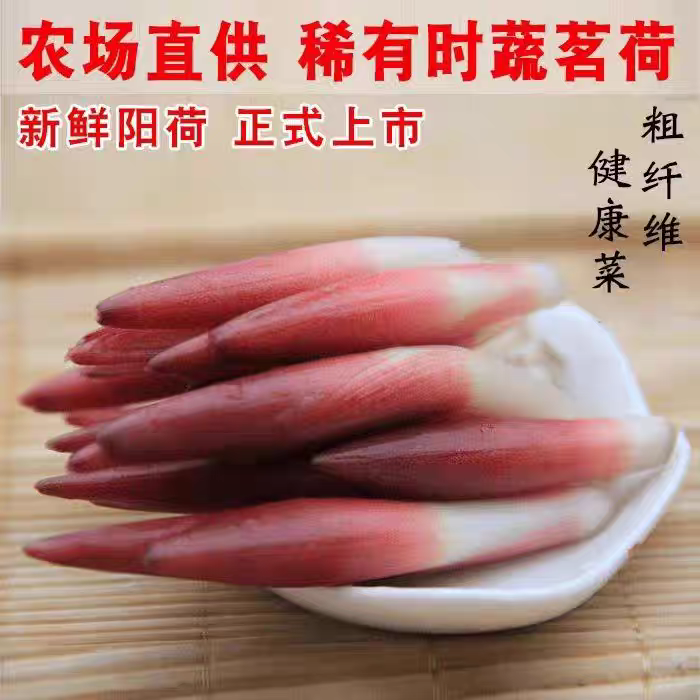 安徽阳荷姜岳西特产农家自种新鲜洋合姜笋洋火茗盐荷姜笋野良姜荷