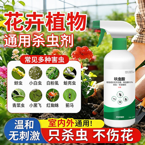 植物杀虫剂花卉室内多肉花草家通专用药克花盆小黑飞蚜虫蚧壳专用