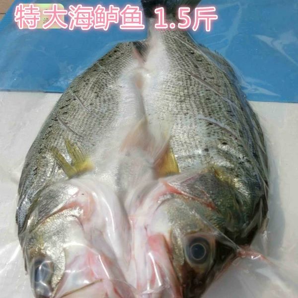 烧烤开背海鲈鱼腌制入味冷冻烤鱼纸包鱼冰鲜750g江浙沪5条包邮