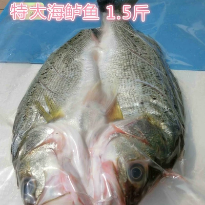 烧烤开背海鲈鱼腌制入味冷冻烤鱼纸包鱼冰鲜750g江浙沪5条包邮