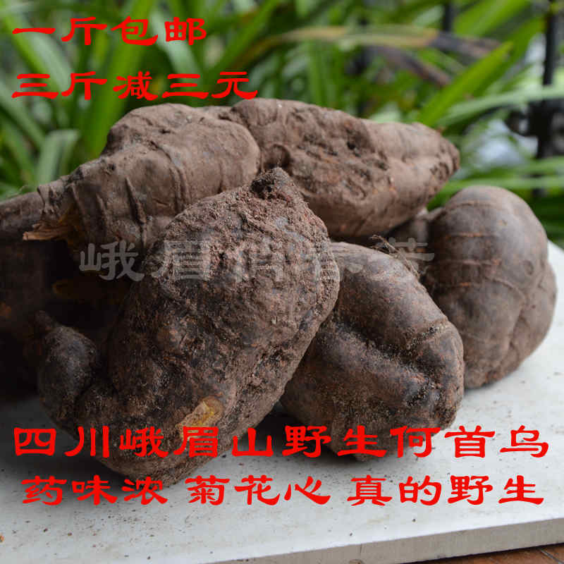 现卖现挖 峨眉新鲜野生何首乌  四川特产赤首乌 500克
