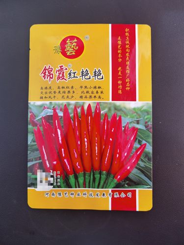 豫艺种业朝天椒簇生杂交