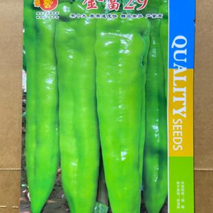 金富29中早熟大果翠绿皮辣椒种子 果型顺直光滑坐果性好 1000粒