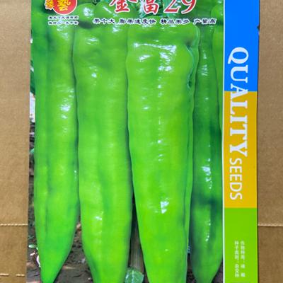 豫艺大果翠绿皮尖椒金富29