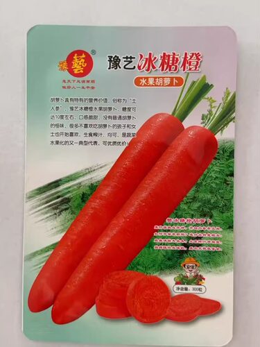 冰糖橙水果胡萝卜种子300粒