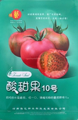 水果番茄种子糖度高口感好 番茄种子 豫艺酸甜果10号 富豫10号