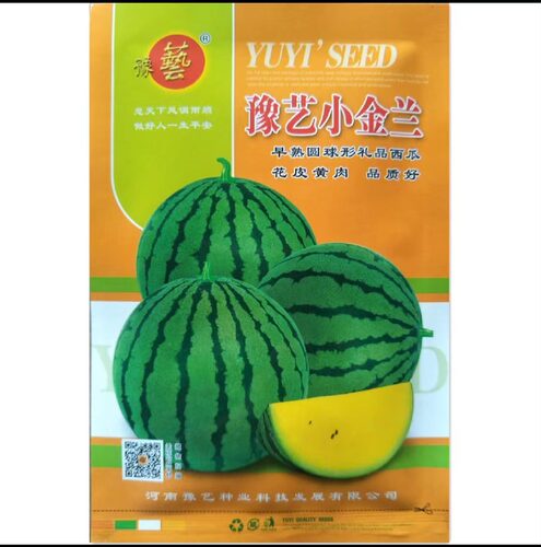 豫艺黄瓤小西瓜露地早熟