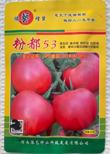 豫艺粉都53粉红果耐低温性好