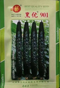 豫艺黑优901黄瓜种子 雌性型早熟瓜色油绿黄瓜种子 20克/袋