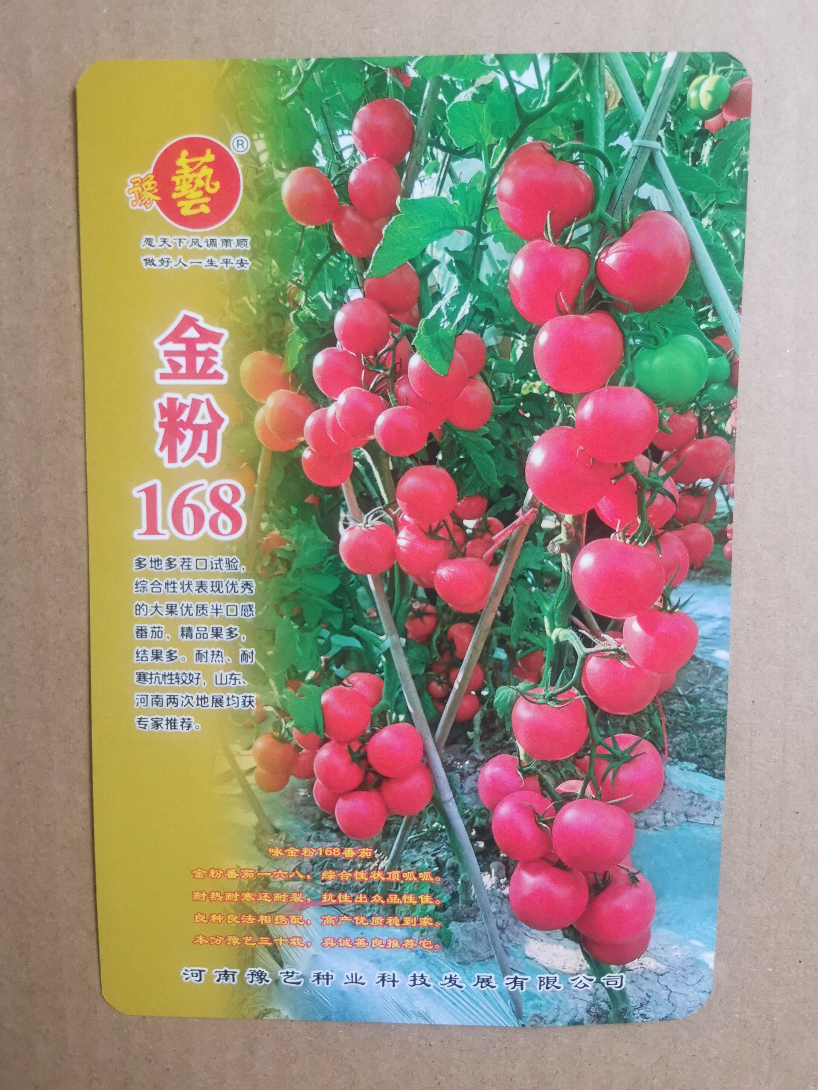 豫艺金粉168大果番茄 中早熟精品果率高 抗病性好 1000粒/袋