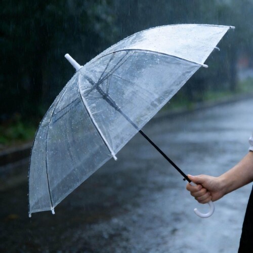 透明雨伞长柄8骨INS风婚礼写真拍照伞磨砂防水防雨日系清新手动伞