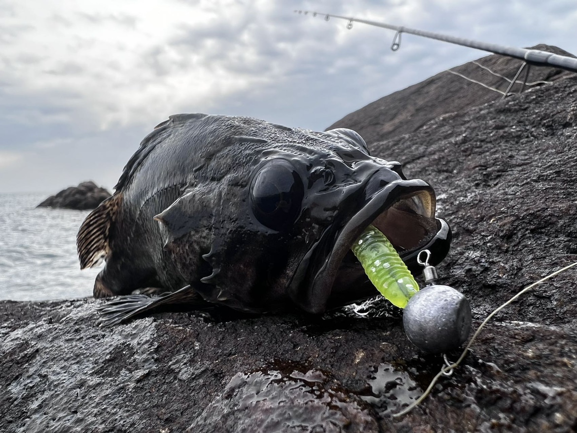 路亚软饵根钓t尾4厘米超好25条
