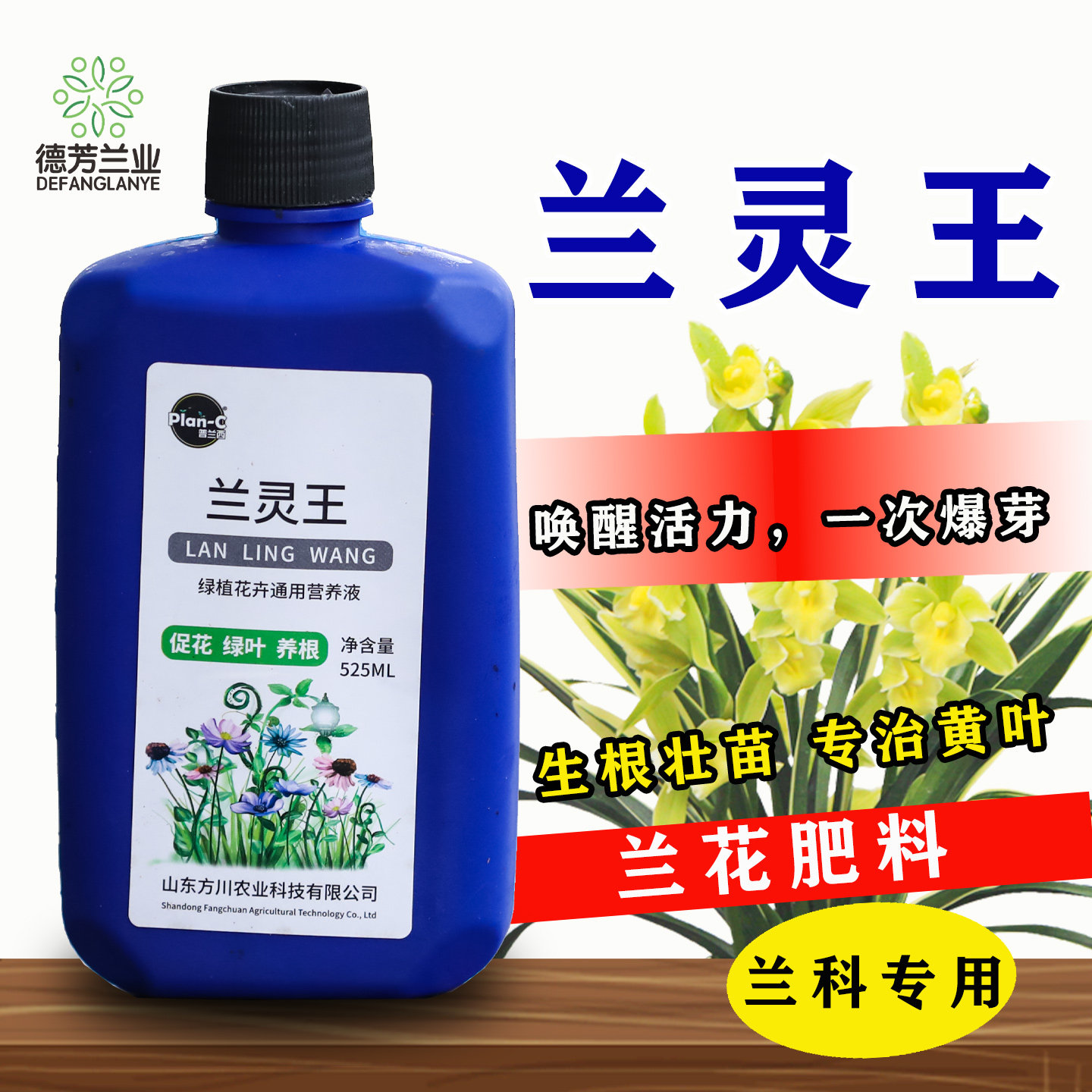 普兰西兰灵王兰花专用营养液壮苗图片