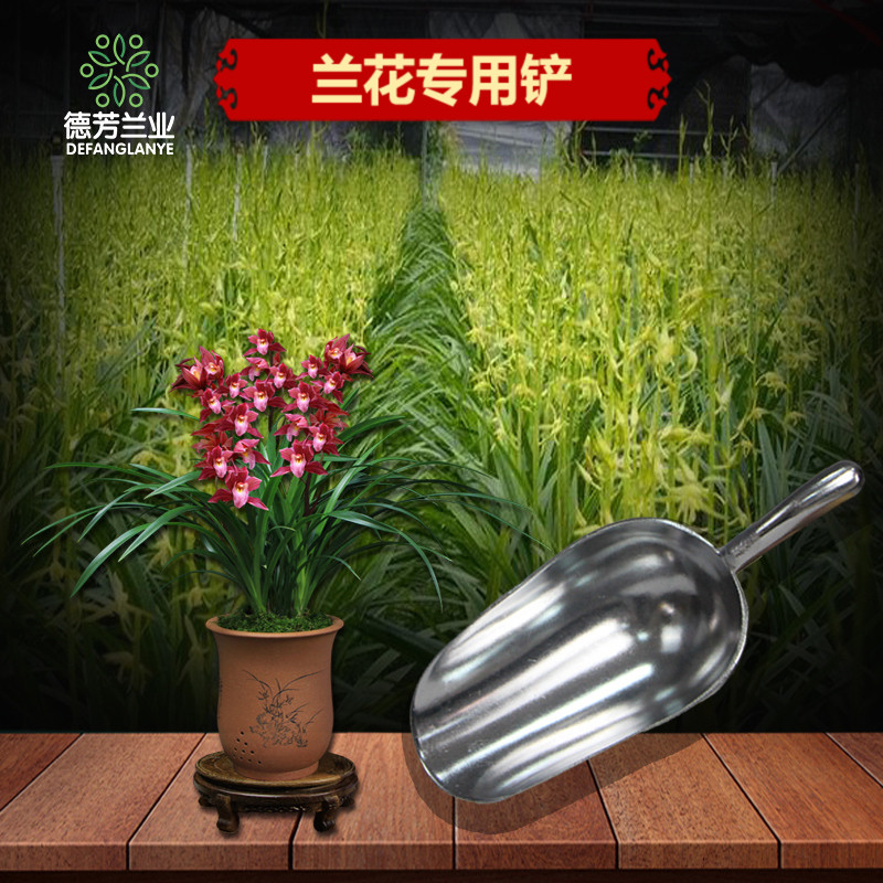 馨德芳兰花铲园艺工具用品翻土种植种花盆栽不锈钢花园铲子加厚