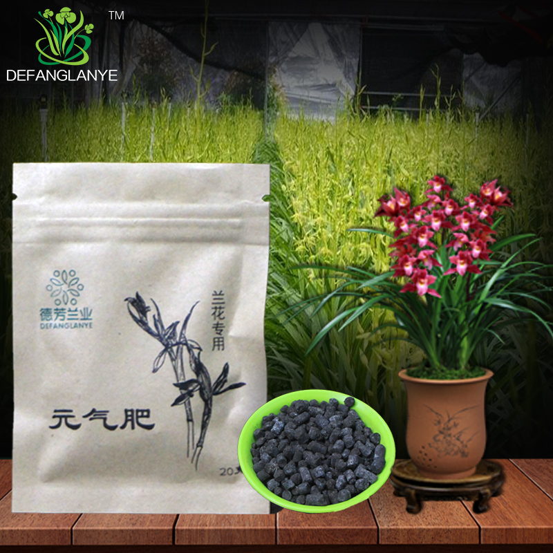 四季兰带花苞专用植料元气植物