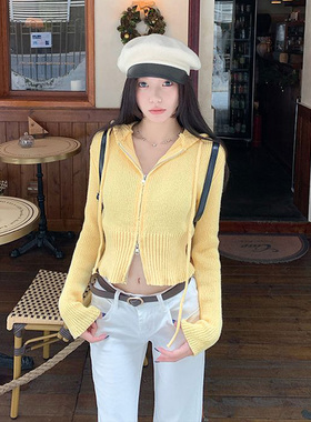 2025秋季多巴胺穿搭鹅黄色毛衣外套连帽女针织衫开衫双头拉链短款